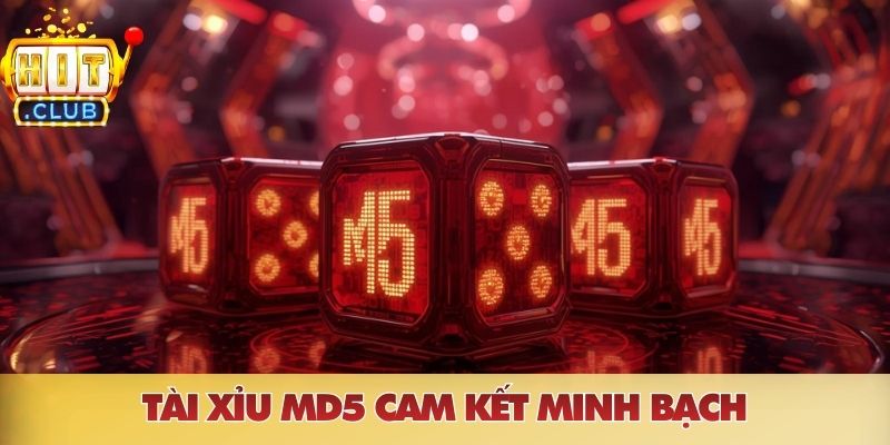 Trang chủ Tài xỉu MD5 cam kết minh bạch cho mọi người